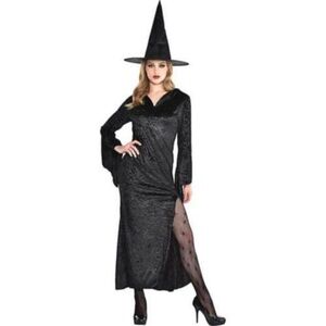 BRAND NEW women witch dress one size standard up to size 8 (dress only)